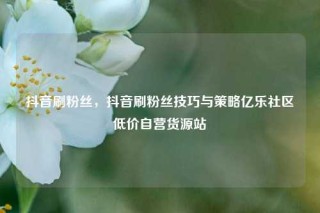 抖音刷粉丝，抖音刷粉丝技巧与策略亿乐社区低价自营货源站