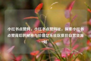 小红书点赞网，小红书点赞网址，探索小红书点赞背后的秘密与价值亿乐社区低价自营货源站