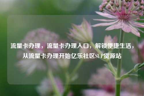 流量卡办理	，流量卡办理入口，解锁便捷生活，从流量卡办理开始亿乐社区SUP货源站  第1张