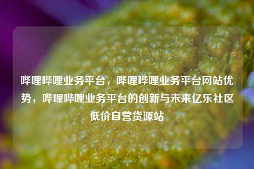 哔哩哔哩业务平台，哔哩哔哩业务平台网站优势，哔哩哔哩业务平台的创新与未来亿乐社区低价自营货源站  第1张