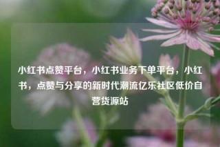 小红书点赞平台，小红书业务下单平台，小红书，点赞与分享的新时代潮流亿乐社区低价自营货源站
