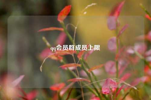 qq会员群成员上限  第1张