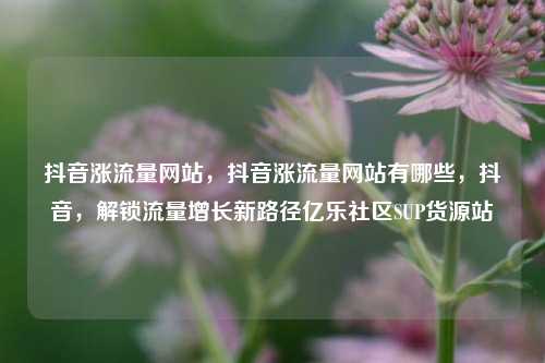 抖音涨流量网站，抖音涨流量网站有哪些，抖音	，解锁流量增长新路径亿乐社区SUP货源站  第1张