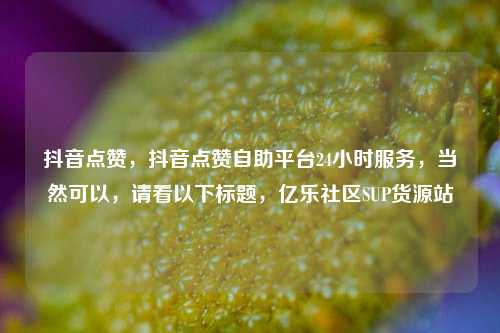 抖音点赞，抖音点赞自助平台24小时服务，当然可以	，请看以下标题，亿乐社区SUP货源站  第1张