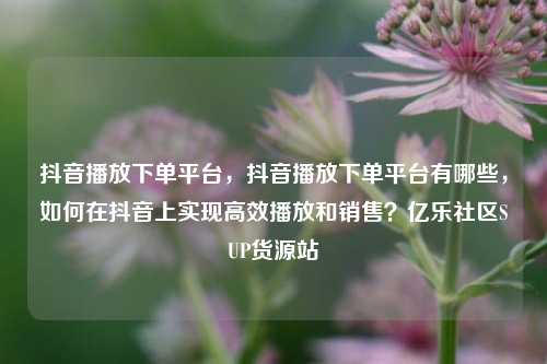 抖音播放下单平台，抖音播放下单平台有哪些，如何在抖音上实现高效播放和销售？亿乐社区SUP货源站  第1张